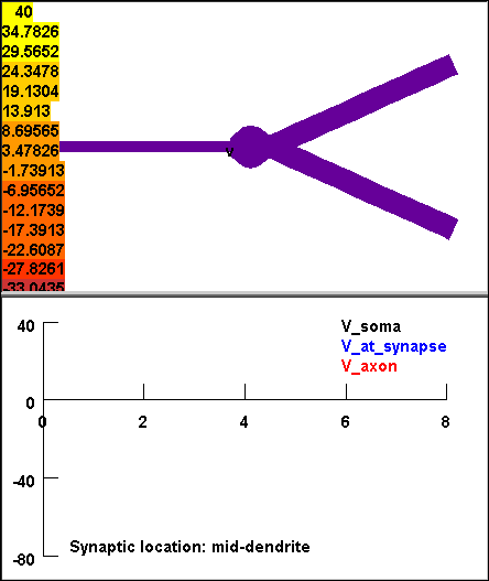 Synapse at Mid-dendrite